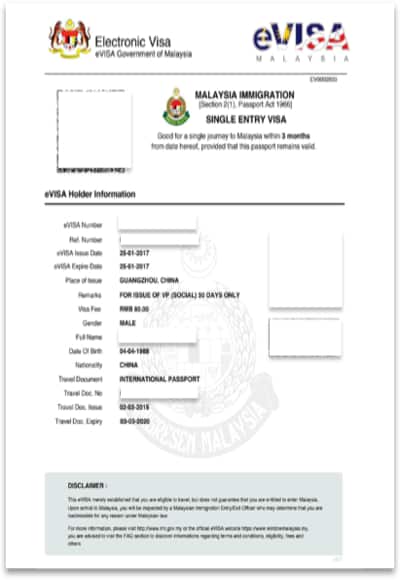 Malaysia e visa online sample