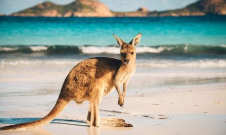 Visitor Visa Australia: Easy Visa with 100% Cashback