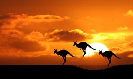 Australia Travel Visa: A Handy Guide for Travellers of 2020