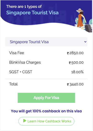 singapore tourist visa fee breakup