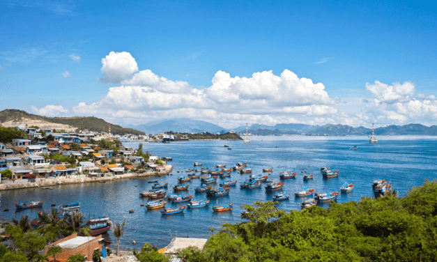 What is a Vietnam Multiple Entry Visa?
