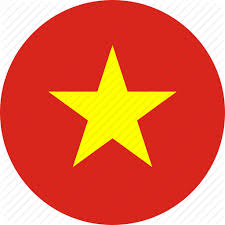Blink visa Vietnam Single Entry Tourist Visa package